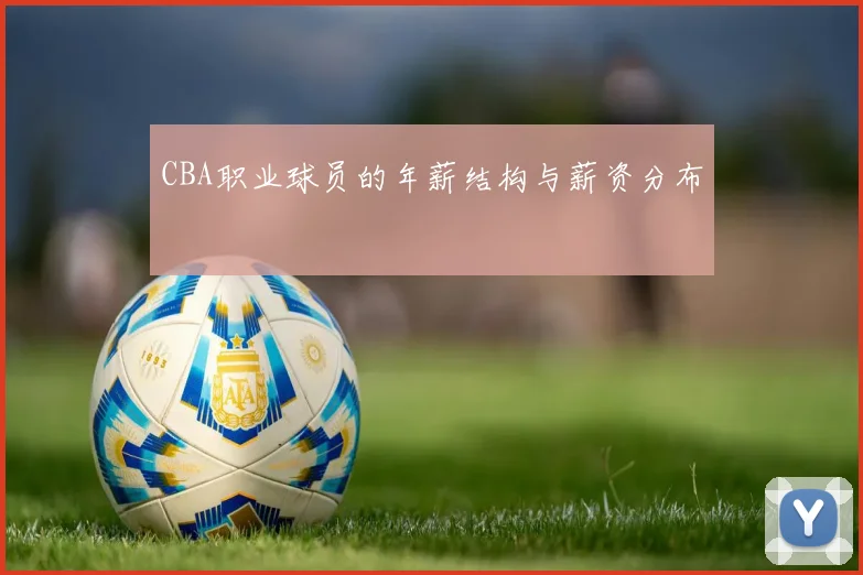 CBA职业球员的年薪结构与薪资分布