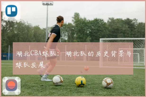 湖北CBA球队：湖北队的历史背景与球队发展