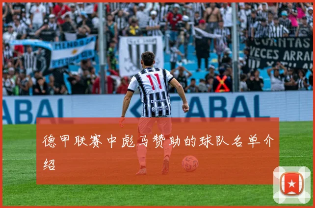 德甲联赛中彪马赞助的球队名单介绍