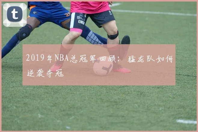 2019年NBA总冠军回顾：猛龙队如何逆袭夺冠