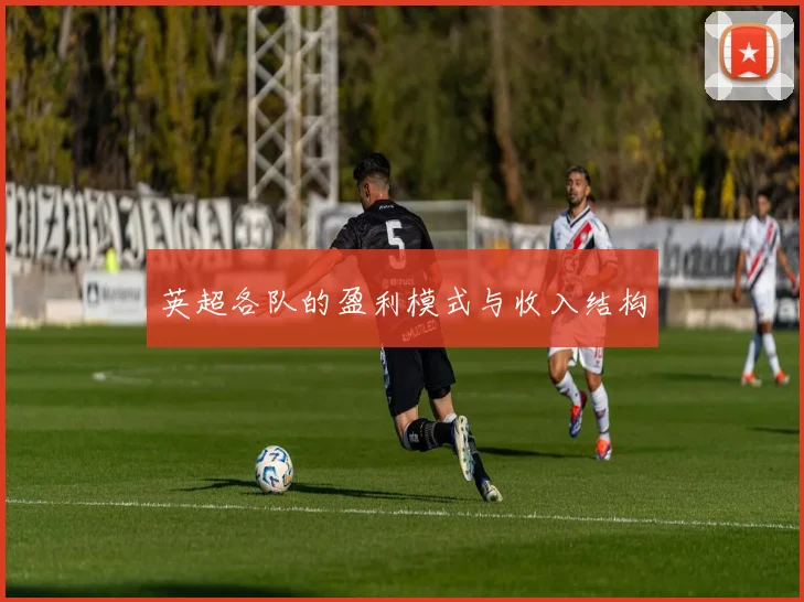 英超各队的盈利模式与收入结构