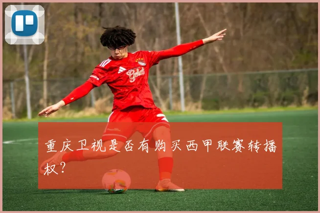 重庆卫视是否有购买西甲联赛转播权？